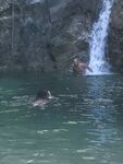 [TravelVids] Trọn Bộ Ảnh Ăn Chơi Của Tây Trọc TravelVids Từ Xưa Đến Nay
