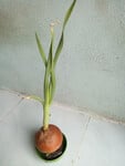 Tìm nữ dong nai giao luu vui vẻ kín thi alo 0865058423