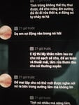 Câu chuyện tập cho chó chơi sướng lắm