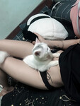 Bưởi Beo Lai 2008 (10đ)
