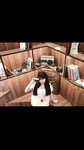 album ảnh nhỏ em gái ***