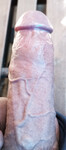 Cu nứng