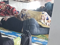 Bưởi Beo Lai 2k8 @@@