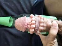 Chim to dài có bi