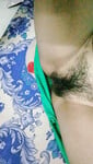 Bướm em