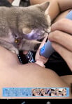 Đĩ dâm lồn hồng trg hình hài em loli dễ thương