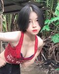 rau nhà trồng mướt mượt