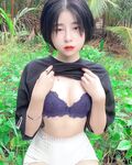 rau nhà trồng mướt mượt