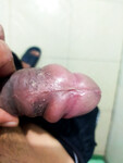 Cu độ chịch vợ