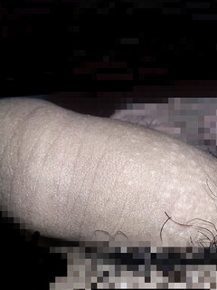 Con cu non
